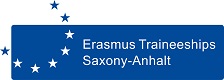 Logo Erasmus traineeships